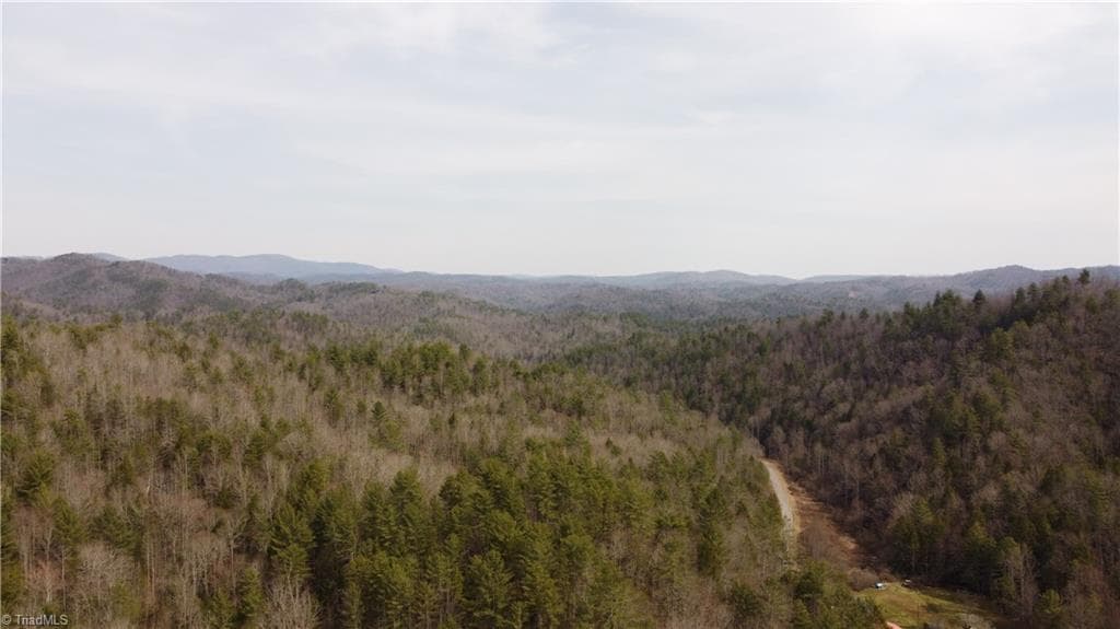 Unimproved Land at 00 Elk Creek Darby Road, Ferguson NC 28624, photo 23 of 24