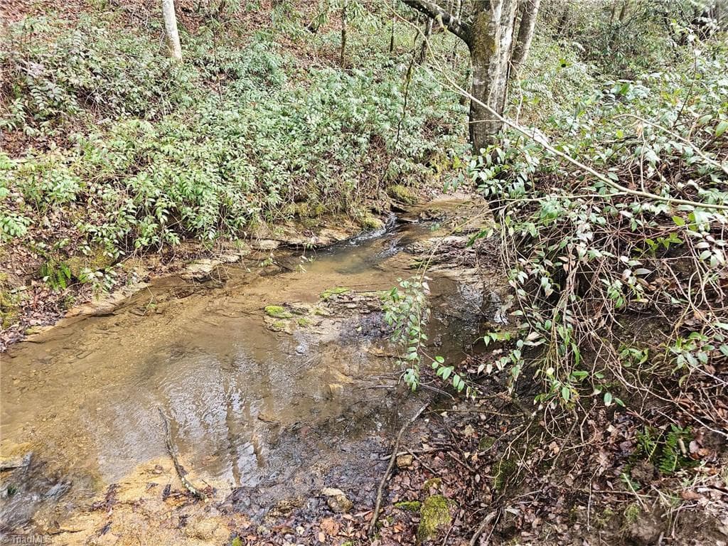 Unimproved Land at 00 Elk Creek Darby Road, Ferguson NC 28624, photo 2 of 24