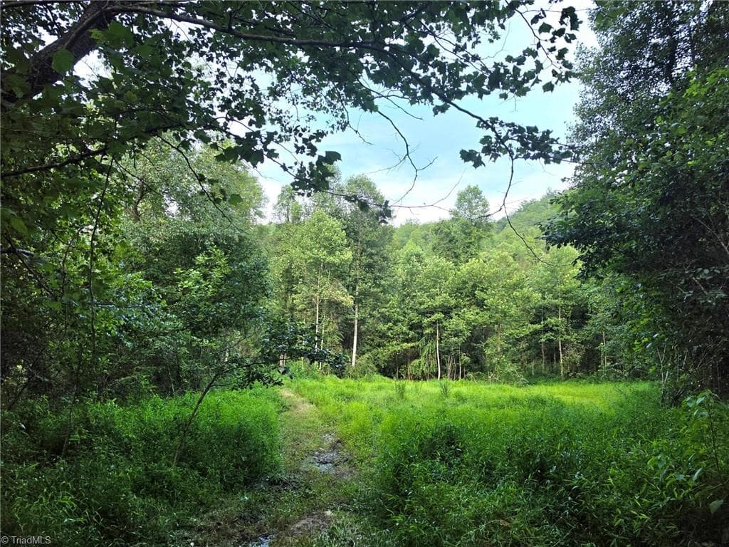 Unimproved Land at 00 Elk Creek Darby Road, Ferguson NC 28624, photo 13 of 24