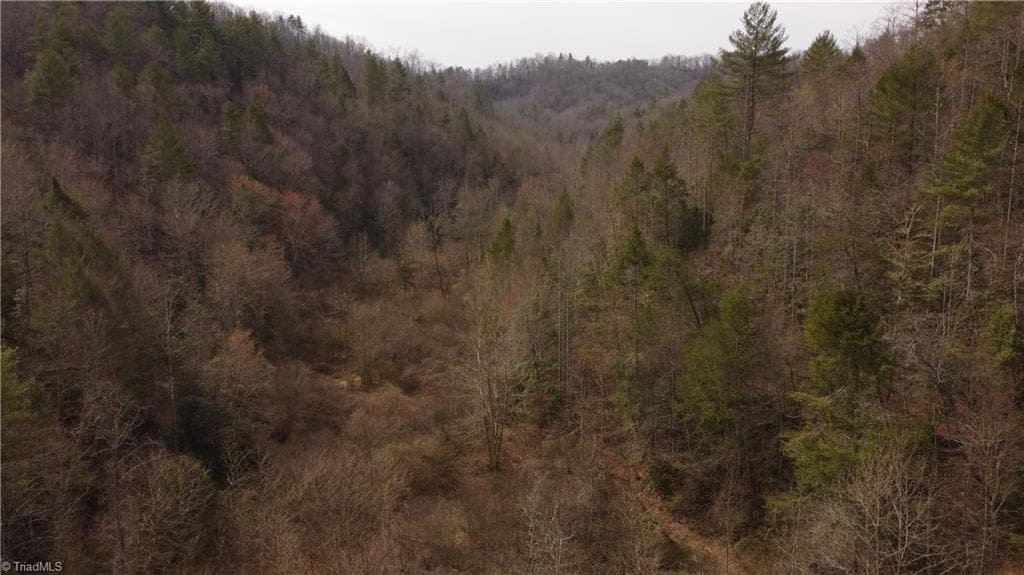 Unimproved Land at 00 Elk Creek Darby Road, Ferguson NC 28624, photo 17 of 24