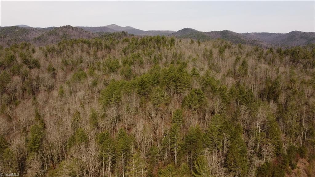 Unimproved Land at 00 Elk Creek Darby Road, Ferguson NC 28624, photo 16 of 24