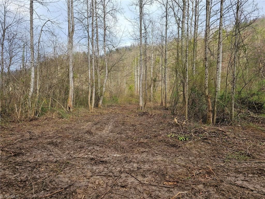 Unimproved Land at 00 Elk Creek Darby Road, Ferguson NC 28624, photo 12 of 24