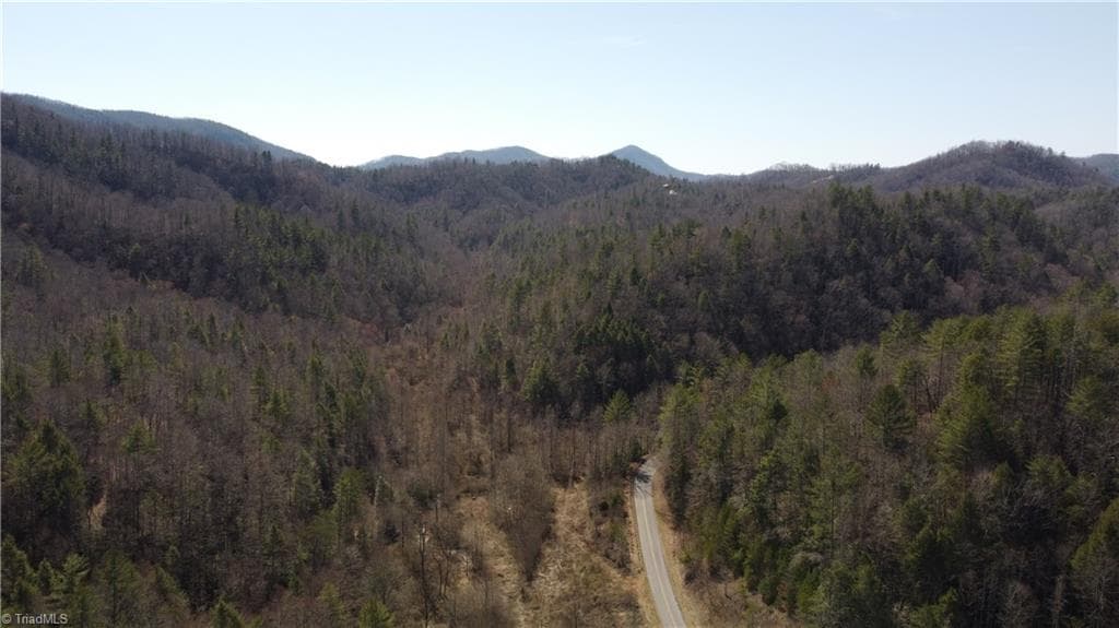 Unimproved Land at 00 Elk Creek Darby Road, Ferguson NC 28624, photo 22 of 24