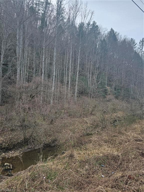 Unimproved Land at 00 Elk Creek Darby Road, Ferguson NC 28624, photo 7 of 24