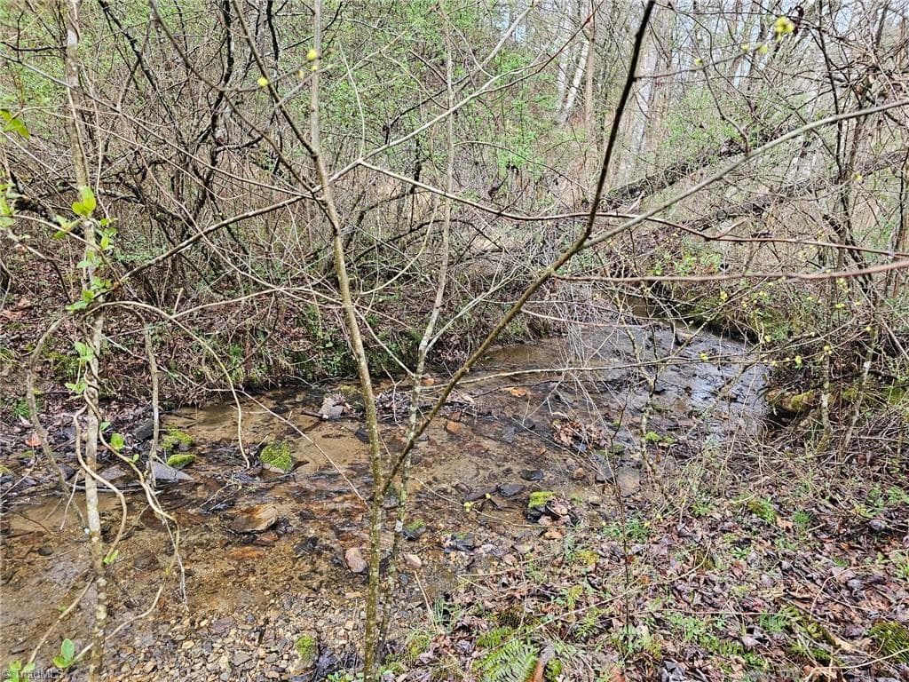 Unimproved Land at 00 Elk Creek Darby Road, Ferguson NC 28624, photo 3 of 24