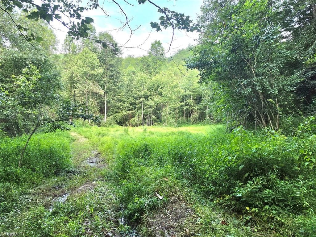 Unimproved Land at 00 Elk Creek Darby Road, Ferguson NC 28624