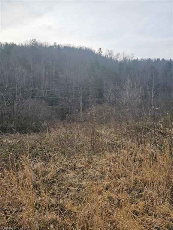 Unimproved Land at 00 Elk Creek Darby Road, Ferguson NC 28624, photo 5 of 24