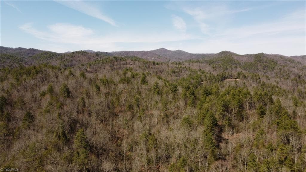 Unimproved Land at 00 Elk Creek Darby Road, Ferguson NC 28624, photo 20 of 24