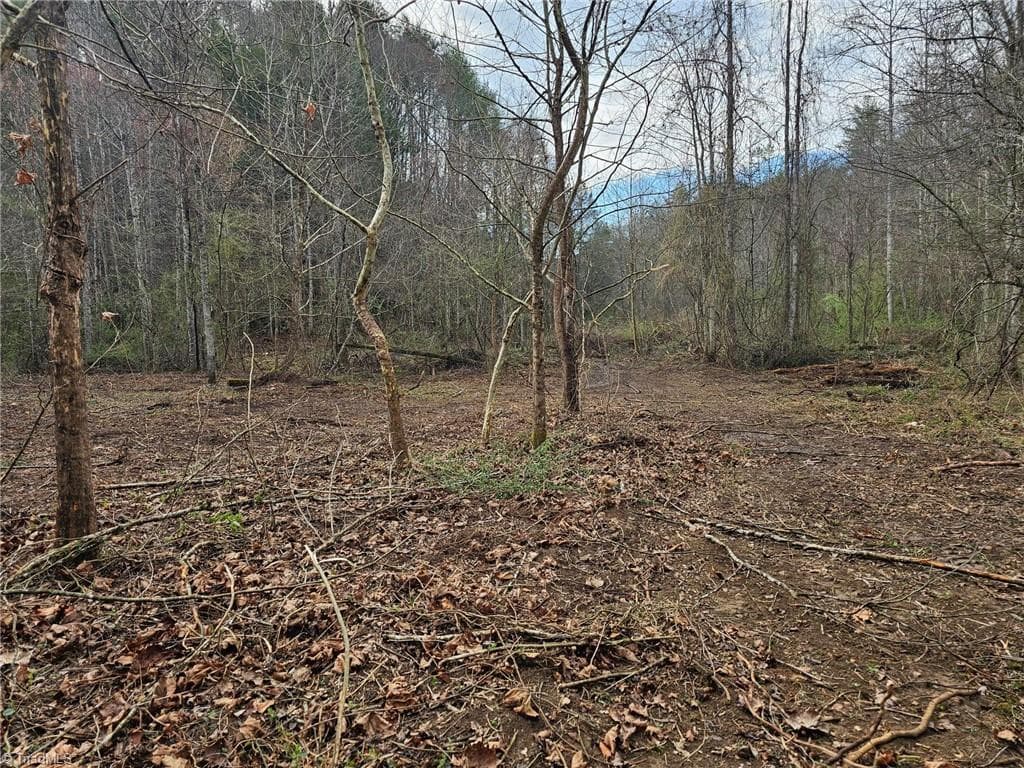 Unimproved Land at 00 Elk Creek Darby Road, Ferguson NC 28624, photo 9 of 24