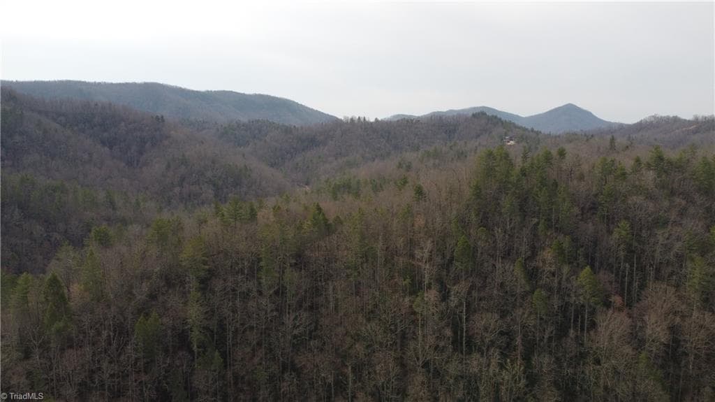 Unimproved Land at 00 Elk Creek Darby Road, Ferguson NC 28624, photo 14 of 24