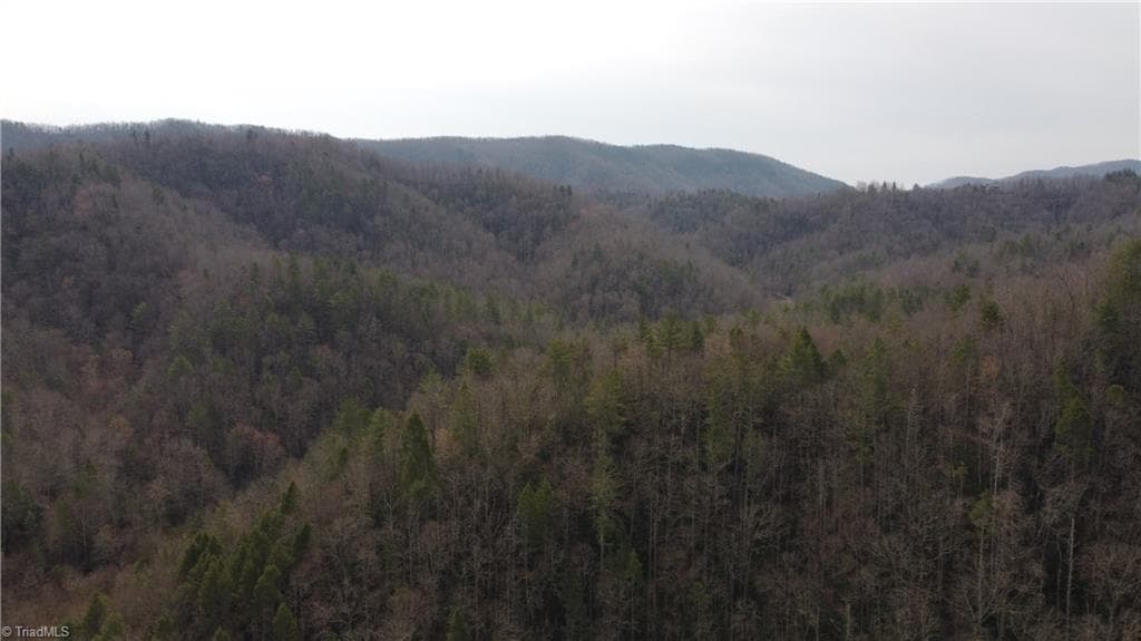 Unimproved Land at 00 Elk Creek Darby Road, Ferguson NC 28624, photo 15 of 24