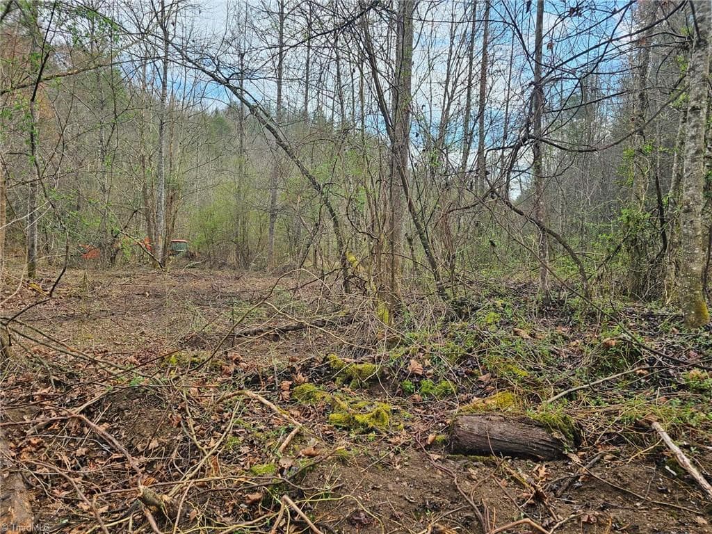Unimproved Land at 00 Elk Creek Darby Road, Ferguson NC 28624, photo 11 of 24