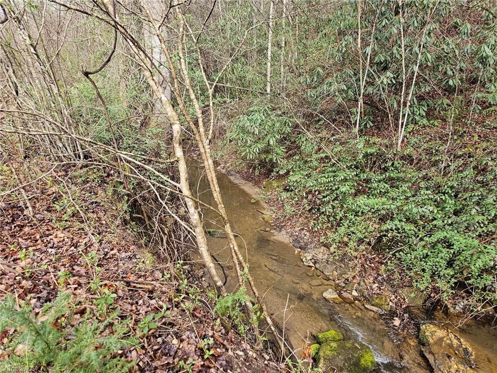 Unimproved Land at 00 Elk Creek Darby Road, Ferguson NC 28624, photo 4 of 24