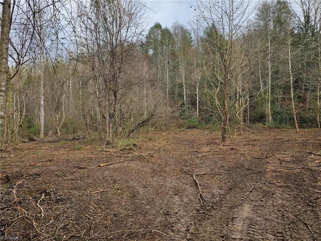 Unimproved Land at 00 Elk Creek Darby Road, Ferguson NC 28624, photo 8 of 24