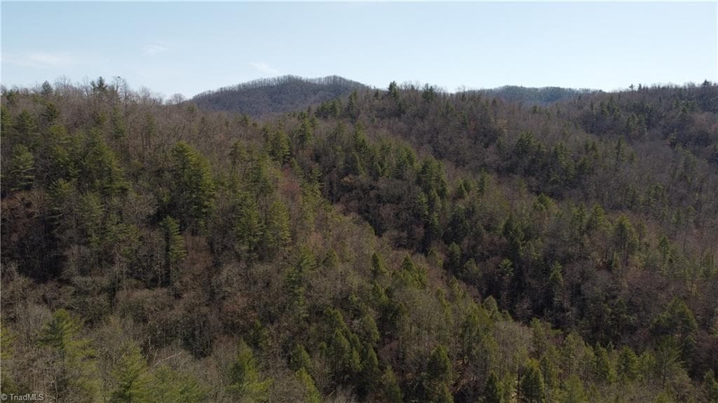 Unimproved Land at 00 Elk Creek Darby Road, Ferguson NC 28624, photo 21 of 24