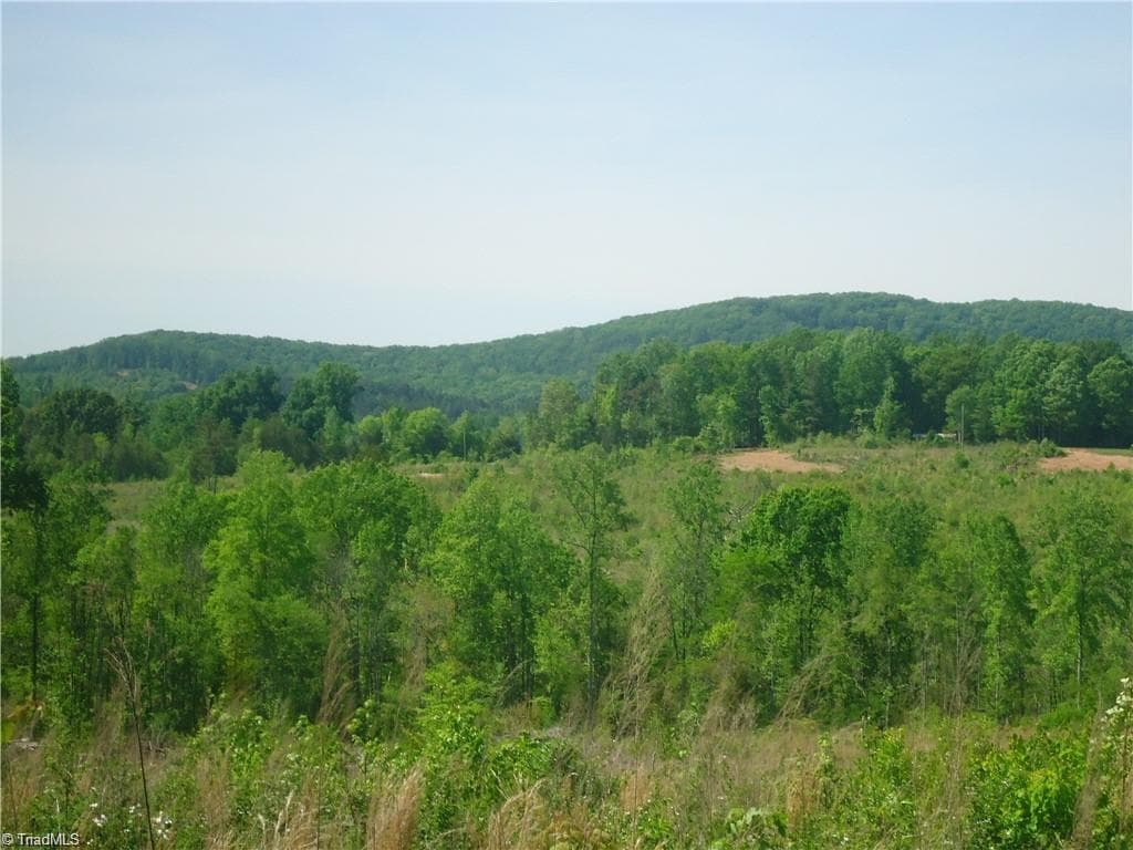 0 Farmer Denton Road, Denton NC 27239