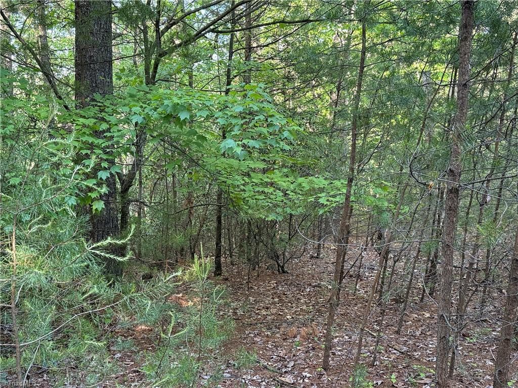 Single Family Residence at Lot 27 Wolf Pen Road, Purlear NC 28665, photo 12 of 37
