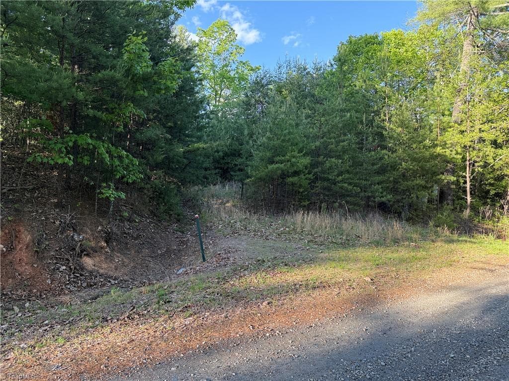 Single Family Residence at Lot 27 Wolf Pen Road, Purlear NC 28665, photo 22 of 37