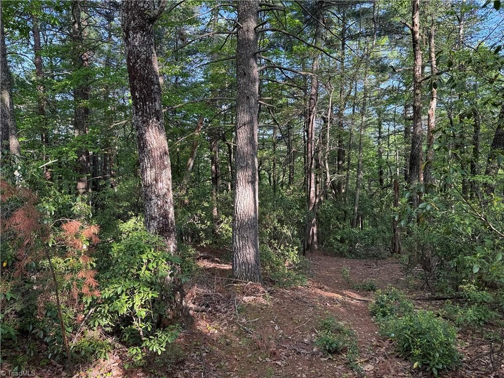 Single Family Residence at Lot 27 Wolf Pen Road, Purlear NC 28665, photo 3 of 37