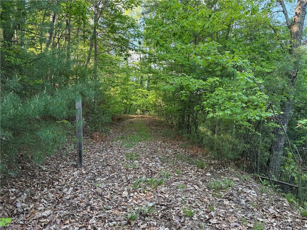 Single Family Residence at Lot 27 Wolf Pen Road, Purlear NC 28665, photo 5 of 37