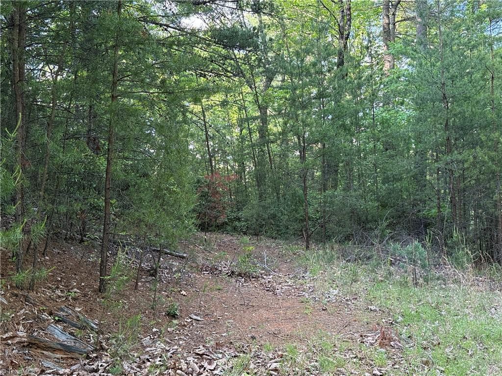 Single Family Residence at Lot 27 Wolf Pen Road, Purlear NC 28665, photo 10 of 37