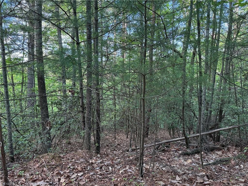 Single Family Residence at Lot 27 Wolf Pen Road, Purlear NC 28665, photo 14 of 37