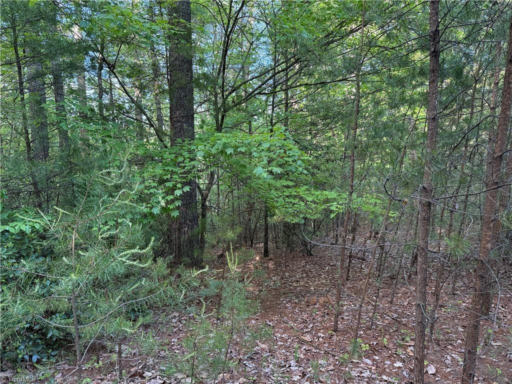 Single Family Residence at Lot 27 Wolf Pen Road, Purlear NC 28665, photo 15 of 37