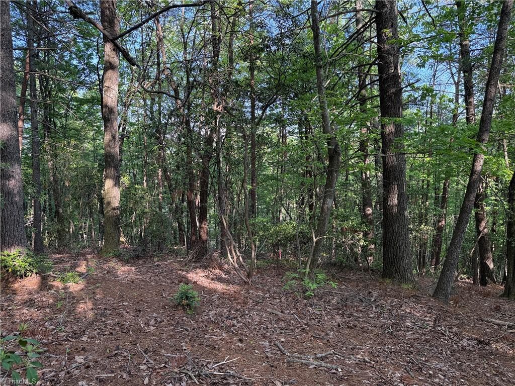 Single Family Residence at Lot 27 Wolf Pen Road, Purlear NC 28665, photo 19 of 37