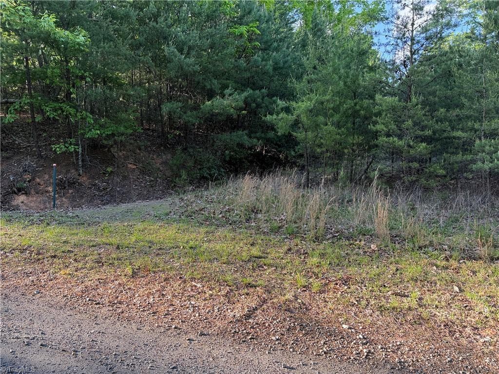 Single Family Residence at Lot 27 Wolf Pen Road, Purlear NC 28665, photo 21 of 37