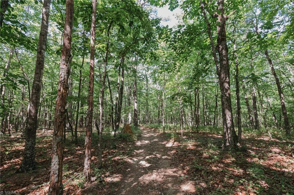 Single Family Residence at xx 44.93 Acres Stardust Trail, Mount Airy NC 27030, photo 23 of 37