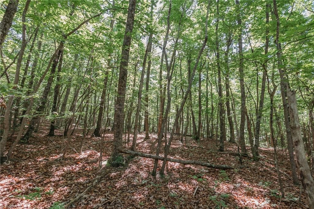 Single Family Residence at xx 44.93 Acres Stardust Trail, Mount Airy NC 27030, photo 27 of 37