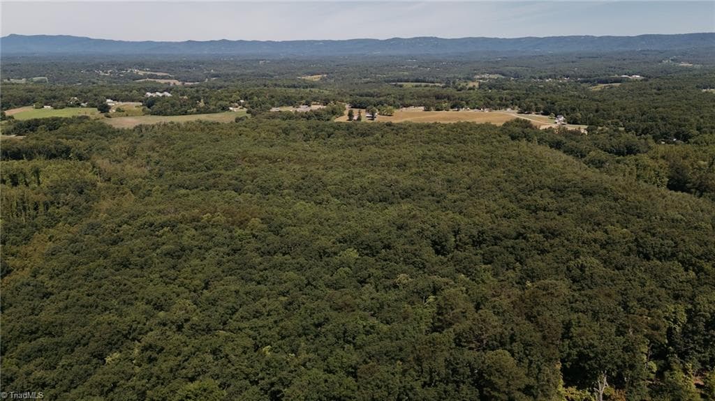 Single Family Residence at xx 44.93 Acres Stardust Trail, Mount Airy NC 27030, photo 6 of 37