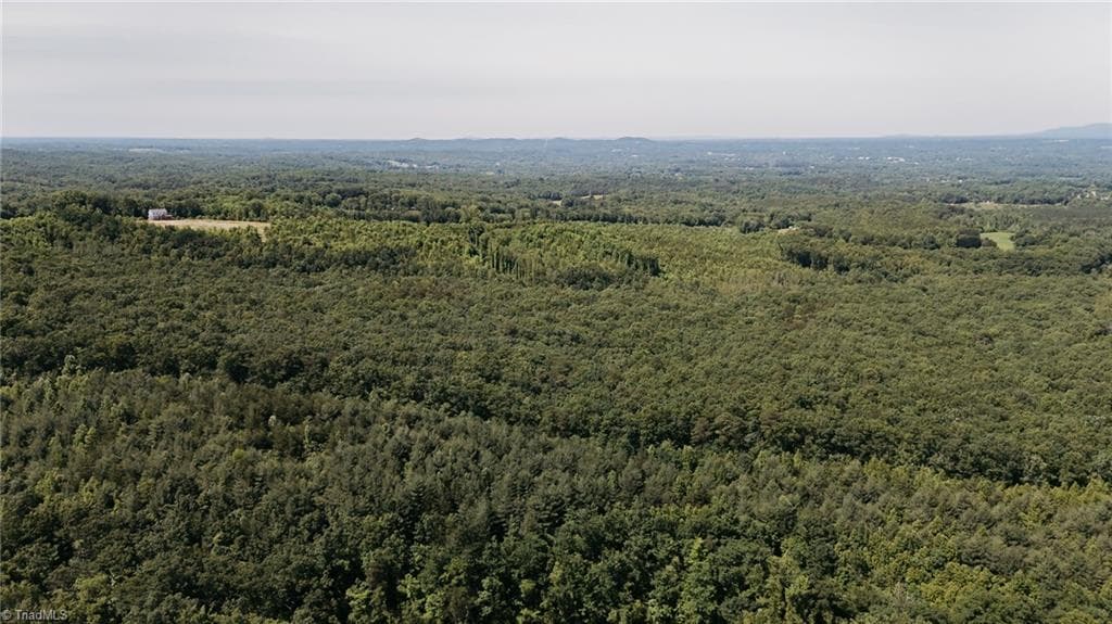 Single Family Residence at xx 44.93 Acres Stardust Trail, Mount Airy NC 27030, photo 17 of 37