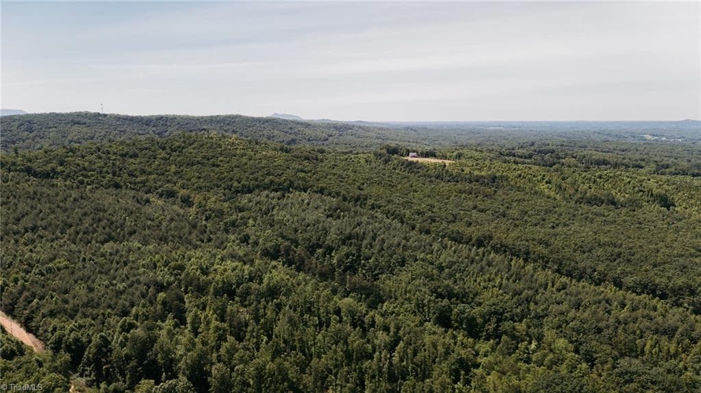 Single Family Residence at xx 44.93 Acres Stardust Trail, Mount Airy NC 27030, photo 16 of 37