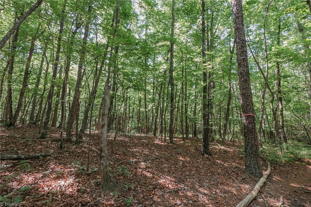 Single Family Residence at xx 44.93 Acres Stardust Trail, Mount Airy NC 27030, photo 26 of 37