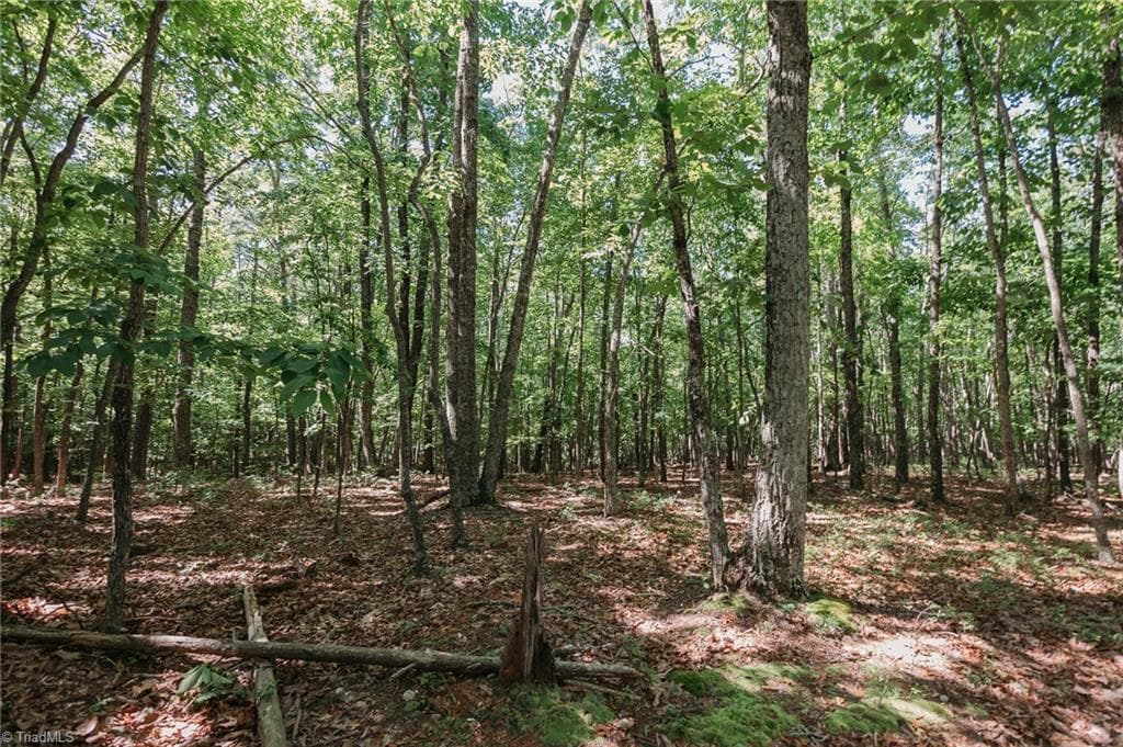 Single Family Residence at xx 44.93 Acres Stardust Trail, Mount Airy NC 27030, photo 22 of 37