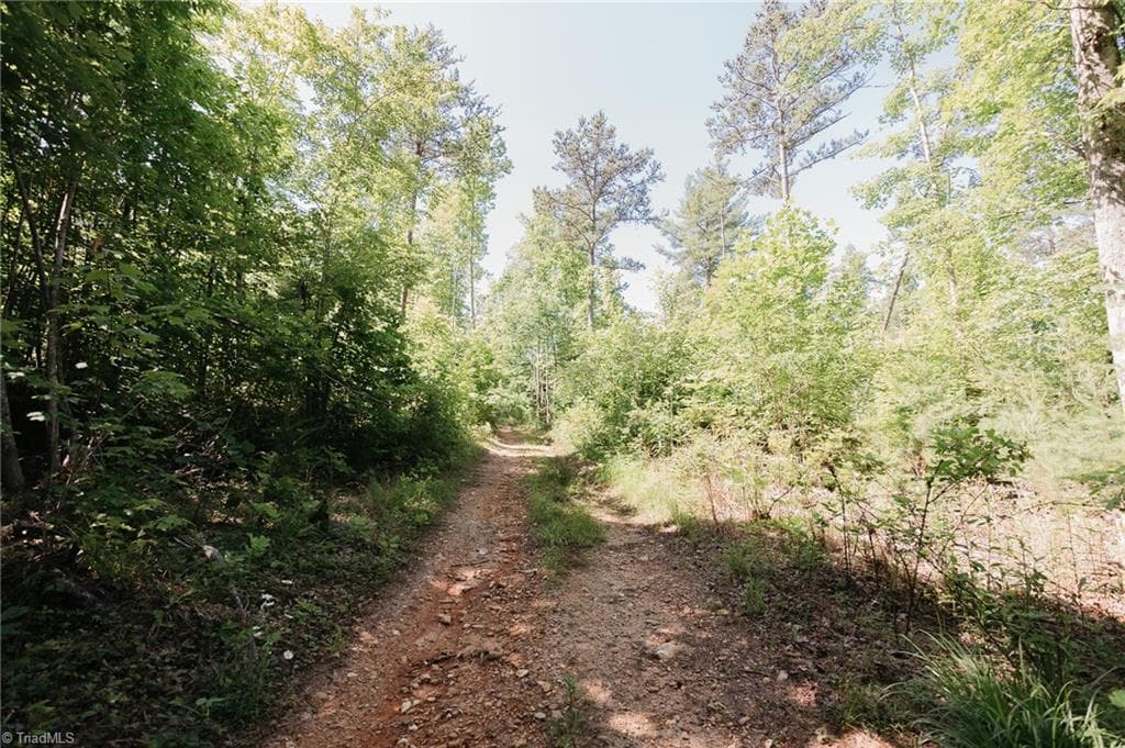 Single Family Residence at xx 44.93 Acres Stardust Trail, Mount Airy NC 27030, photo 7 of 37