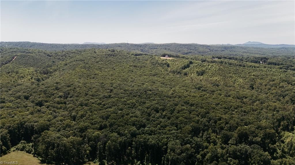 Single Family Residence at xx 44.93 Acres Stardust Trail, Mount Airy NC 27030, photo 36 of 37