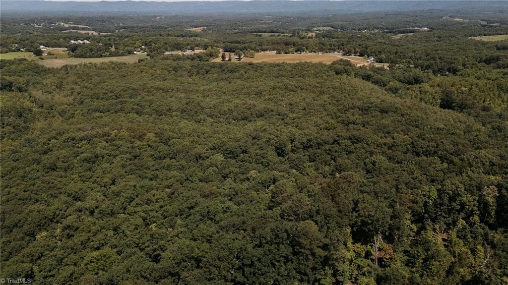 Single Family Residence at xx 44.93 Acres Stardust Trail, Mount Airy NC 27030, photo 5 of 37