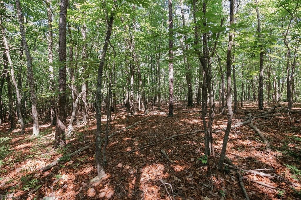 Single Family Residence at xx 44.93 Acres Stardust Trail, Mount Airy NC 27030, photo 9 of 37