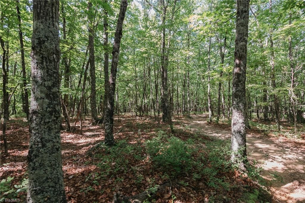 Single Family Residence at xx 44.93 Acres Stardust Trail, Mount Airy NC 27030, photo 24 of 37