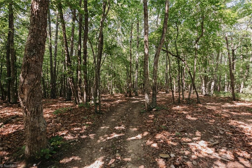 Single Family Residence at xx 44.93 Acres Stardust Trail, Mount Airy NC 27030, photo 10 of 37