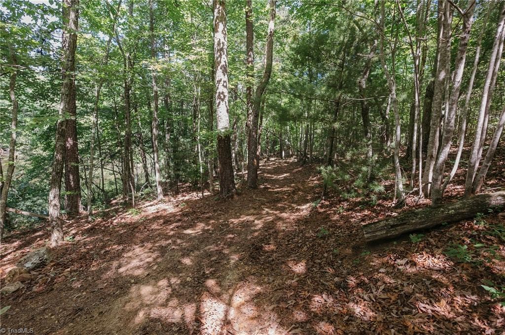 Single Family Residence at xx 44.93 Acres Stardust Trail, Mount Airy NC 27030, photo 33 of 37