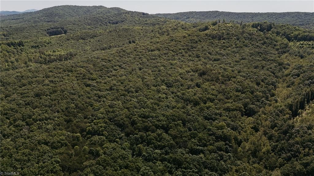 Single Family Residence at xx 44.93 Acres Stardust Trail, Mount Airy NC 27030, photo 14 of 37