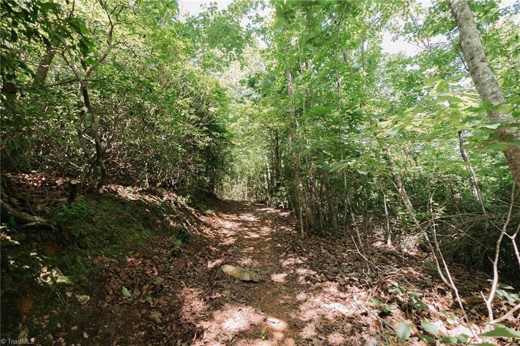 Single Family Residence at xx 44.93 Acres Stardust Trail, Mount Airy NC 27030, photo 18 of 37