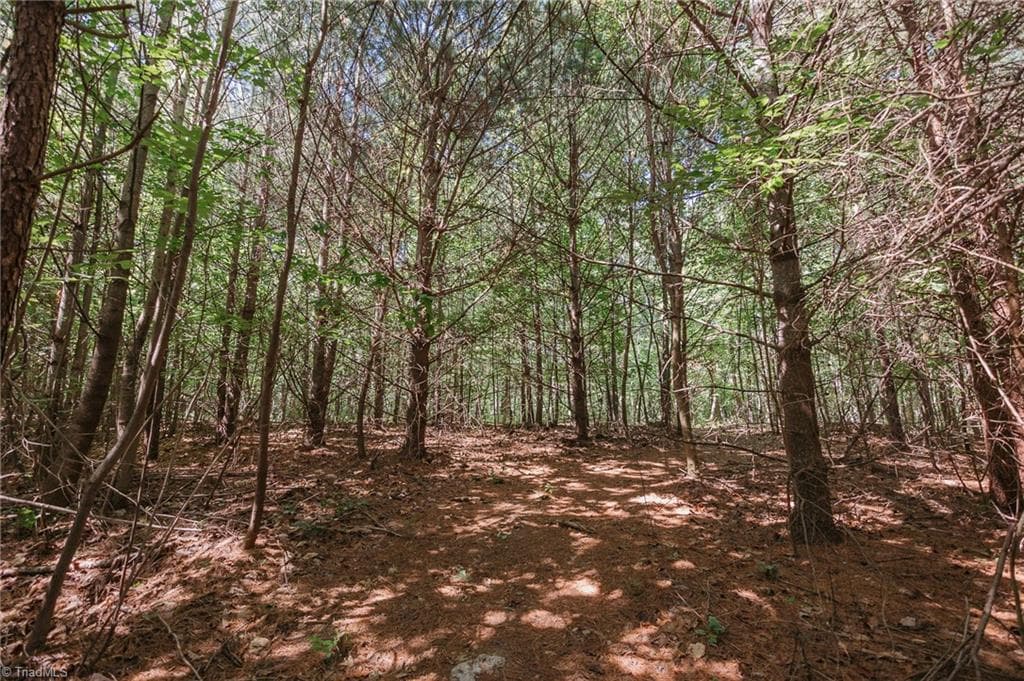 Single Family Residence at xx 44.93 Acres Stardust Trail, Mount Airy NC 27030, photo 11 of 37