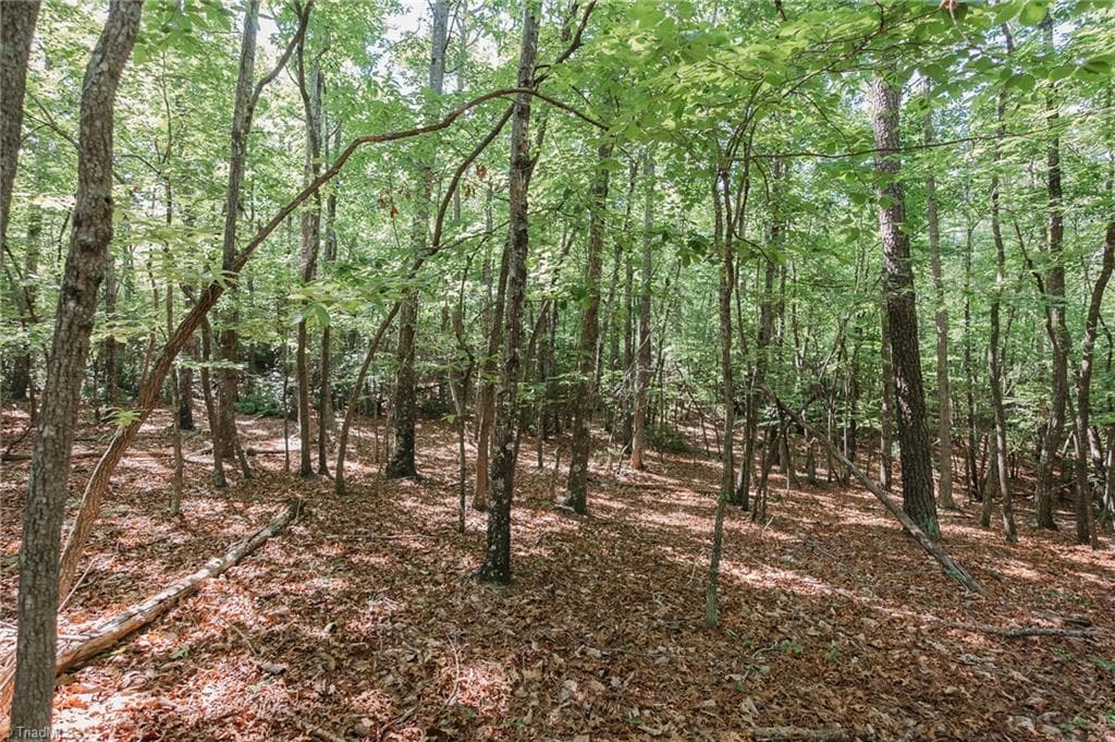 Single Family Residence at xx 44.93 Acres Stardust Trail, Mount Airy NC 27030, photo 19 of 37