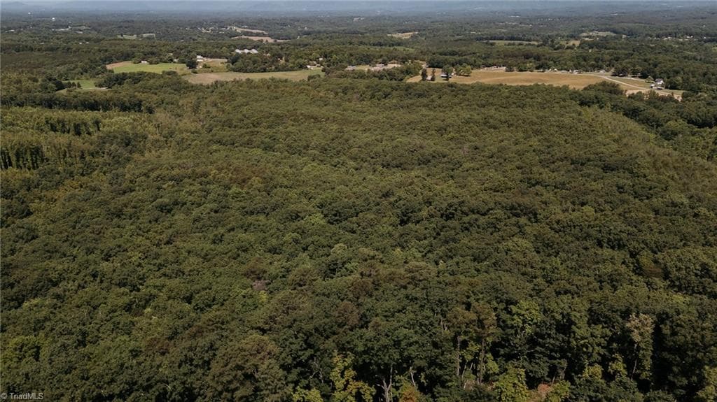 Single Family Residence at xx 44.93 Acres Stardust Trail, Mount Airy NC 27030, photo 35 of 37