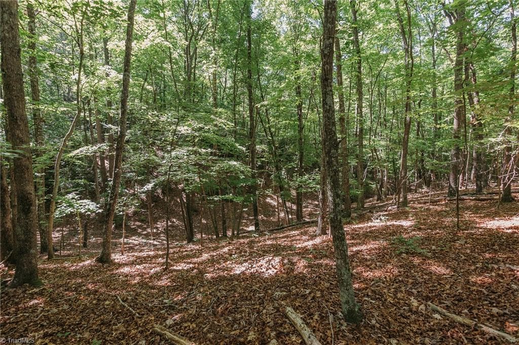 Single Family Residence at xx 44.93 Acres Stardust Trail, Mount Airy NC 27030, photo 31 of 37