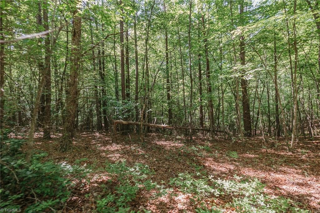 Single Family Residence at xx 44.93 Acres Stardust Trail, Mount Airy NC 27030, photo 29 of 37